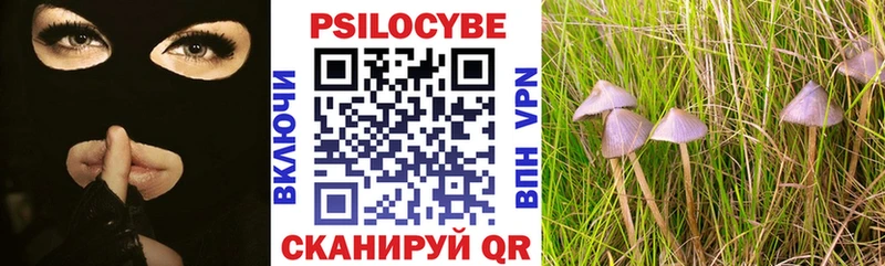 Галлюциногенные грибы Cubensis  Вышний Волочёк 